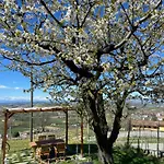 Appartamento Il Gelso *