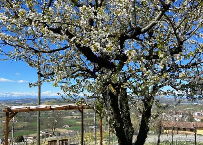 아파트 Il Gelso *